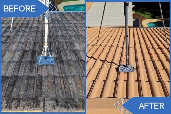 Roof Pressure Cleaning Before V After